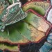 Краска PEBEO Fantasy Prisme с фактурным эффектом, цвет 166032 античное золото, 45 мл